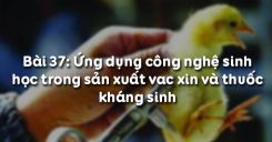 Bài 38: Ứng dụng công nghệ sinh học trong sản xuất vacxin và thuốc kháng sinh
