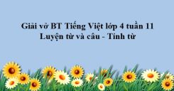 Luyện từ và câu: Tính từ