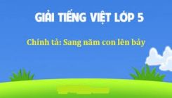 Chính tả Nhớ - viết: Sang năm con lên bảy