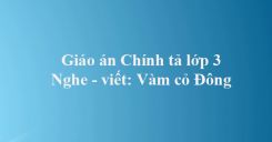 Chính tả Nghe - viết: Vàm Cỏ Đông và Phân biệt it/uyt, d/gi/r, dấu hỏi/ dấu ngã