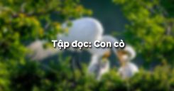 Tập đọc: Con cò