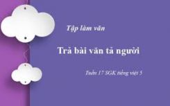 Tập làm văn: Trả bài văn tả người