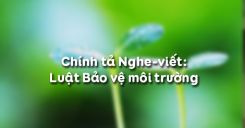 Chính tả Nghe-viết: Luật Bảo vệ môi trường