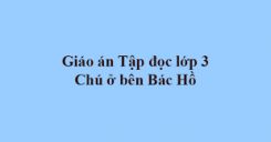 Tập đọc: Chú ở bên Bác Hồ