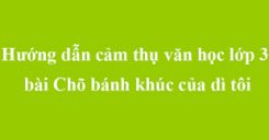 Tập đọc: Chõ bánh khúc của dì tôi