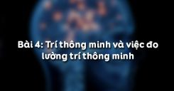 Bài 4: Trí thông minh và việc đo lường trí thông minh