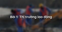 Bài 1: Thị trường lao động