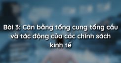 Bài 3: Cân bằng tổng cung tổng cầu và tác động của các chính sách kinh tế