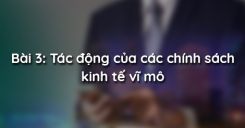 Bài 3: Tác động của các chính sách kinh tế vĩ mô
