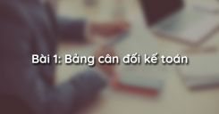 Bài 1: Bảng cân đối kế toán
