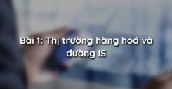 Bài 1: Thị trường hàng hoá và đường IS
