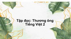 Tập đọc: Thương ông