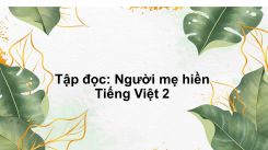 Tập đọc: Người mẹ hiền