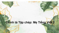Chính tả Tập chép: Mẹ