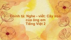Chính tả: Nghe - viết: Cây xoài của ông em