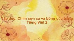 Tập đọc: Chim sơn ca và bông cúc trắng