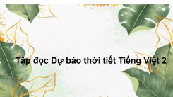 Tập đọc Dự báo thời tiết
