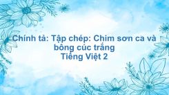 Chính tả: Tập chép: Chim sơn ca và bông cúc trắng