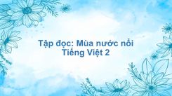 Tập đọc: Mùa nước nổi