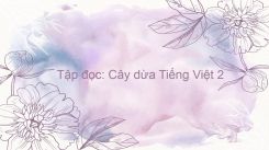 Tập đọc: Cây dừa
