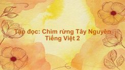 Tập đọc: Chim rừng Tây Nguyên