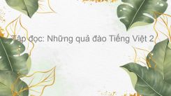 Tập đọc: Những quả đào
