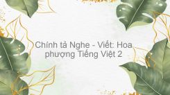 Chính tả Nghe - Viết: Hoa phượng
