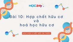 Bài 10: Hợp chất hữu cơ và hoá học hữu cơ