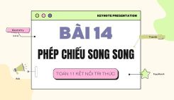 Bài 14: Phép chiếu song song