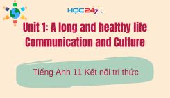 Unit 1 - Communication and Culture / CLIL