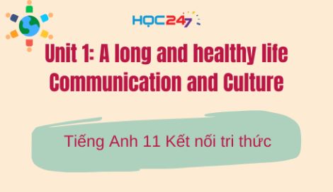 Trắc nghiệm Tiếng Anh 11 Kết nối tri thức Unit 1 Communication and Culture