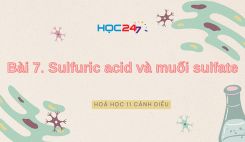 Bài 7: Sulfuric acid và muối sulfate