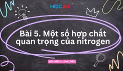 Bài 5: Một số hợp chất quan trọng của nitrogen