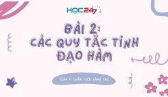 Bài 2: Các quy tắc tính đạo hàm
