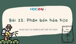 Bài 12: Phân bón hóa học