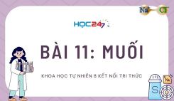 Bài 11: Muối