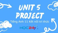 Unit 5 - Project