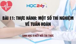 Bài 11: Thực hành: Một số thí nghiệm về tuần hoàn
