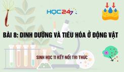 Bài 8: Dinh dưỡng và tiêu hóa ở động vật