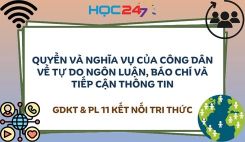 Bài 20: Quyền và nghĩa vụ của công dân về tự do ngôn luận, báo chí và tiếp cận thông tin