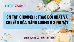 Ôn tập chương 1: Trao đổi chất và chuyển hóa năng lượng ở sinh vật