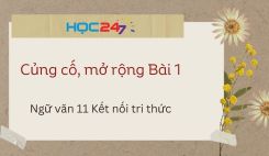 Củng cố, mở rộng Bài 1