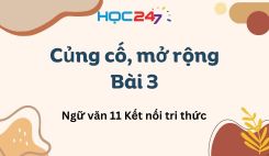 Củng cố, mở rộng Bài 3