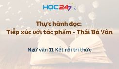 Thực hành đọc: Tiếp xúc với tác phẩm - Thái Bá Vân