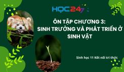 Ôn tập chương 3: Sinh trưởng và phát triển ở sinh vật