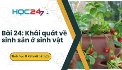 Bài 24: Khái quát về sinh sản ở sinh vật