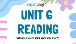 Unit 6 - Reading