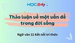 Soạn bài Thảo luận về một vấn đề trong đời sống - Ngữ văn 11 Tập 1 Kết Nối Tri Thức