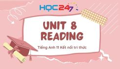 Unit 8 - Reading