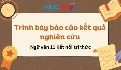 Trình bày báo cáo kết quả nghiên cứu